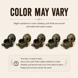 Color may vary notice for rustic resin turtle ashtray with natural finish differences