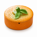 Orange fruit inspired ceramic ashtray with lid and green leaf detail
