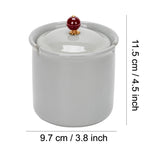 Cool Lidded Ceramic Ashtray Cute Porcelain Ash Tray Covered Smokeless Windproof Cracked Ice Pattern